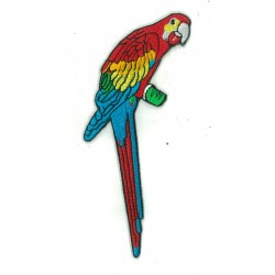 Toppa  termoadesiva pappagallo