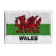 Toppa  bandiera Galles