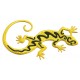 Iron-on Patch salamander Gecko
