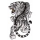 Toppa grande termoadesiva Tiger tattoo