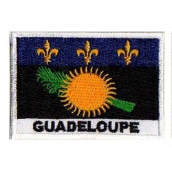 Parche bandera Guadalupe