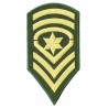 Iron-on Patch Sergeant-Major SSM