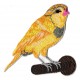Iron-on Patch yellow bird embroidered