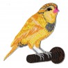 Iron-on Patch yellow bird embroidered
