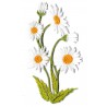 Iron-on Patch flower Daisy