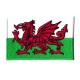 Patche écusson drapeau Pays de Galles