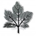 Iron-on Patch gray tree leaf