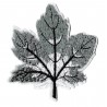 Aufnäher Patch Bügelbild graues Baumblatt
