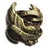 Rider Eagle cast metal badge